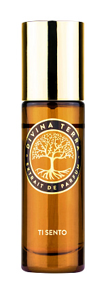 Фото - Духи TI-SENTO 15ml - KOMODO STUDIO HOME