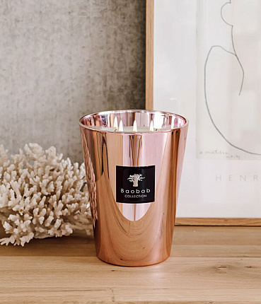 Фото - Свечa Les Exclusives Roseum190 Baobab - KOMODO STUDIO HOME